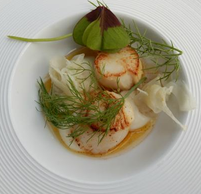 Gebakken coquilles met venkel